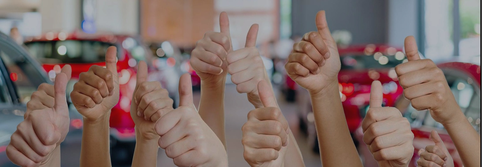 Customer Reviews